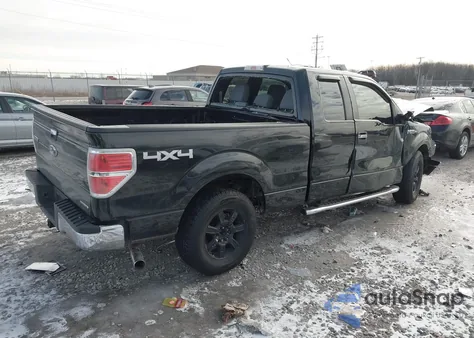 2011 Ford F-150 Xlt z USA, uszkodzony, nr VIN 1FTFX1EF5BFB40134